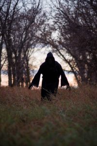 Figure of a ghostly creature walking down a lane of trees towards the camera.