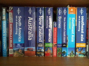 Travel guides are one useful way to start your research into your next destination.