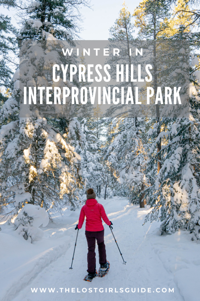 Guide to winter in Cypress Hills Interprovincial Park