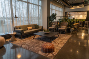 Things to Do in Calgary in the Winter