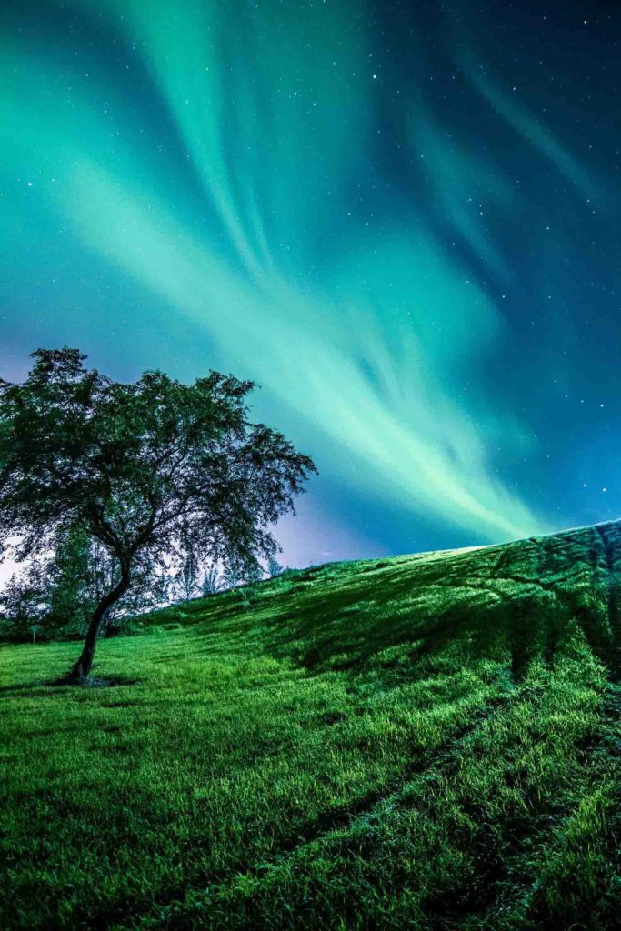 Credit: Amanda Shalovelo Photography, "I'm Not Alone" snapped near Warman, SK