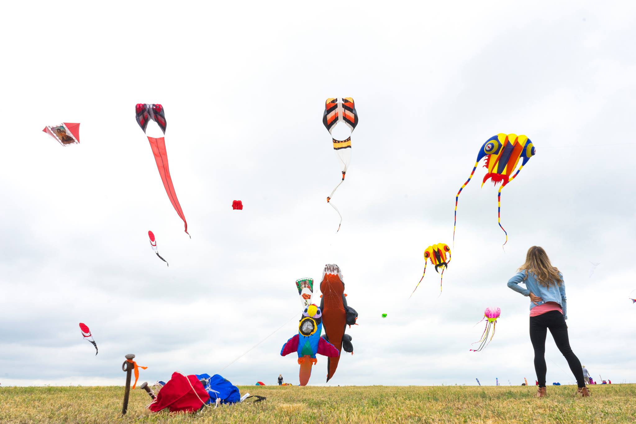 The Art of Flying Kites at the Windscape Kite Festival - The Lost Girl's  Guide to Finding the World