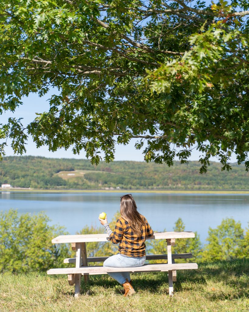 A woman in a yellow plaid shirt  sitting at a picnic table under a tree. Her back to the photographer as she looks out over the St. John River.