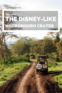 It's like disney-come-alive on safari in Tanzania's Ngorongoro caldera (the largest in the world!)