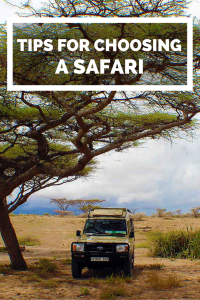 6 tips to consider when choosing a safari.