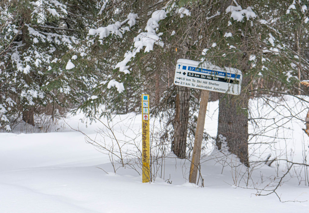 Best Cross Country Ski Trails in Saskatchewan