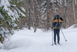 Best Cross Country Ski Trails in Saskatchewan