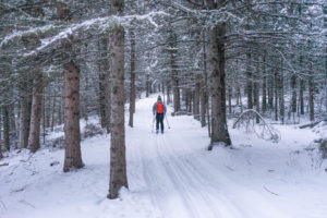 Best Cross Country Ski Trails in Saskatchewan