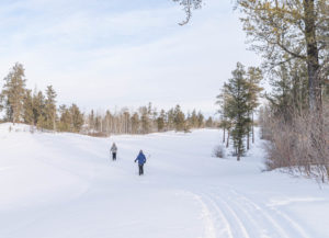 Best Cross Country Ski Trails in Saskatchewan