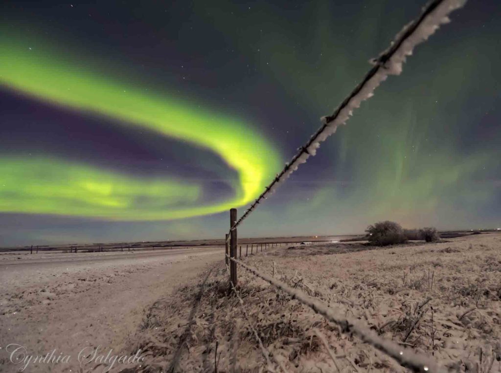 Credit: Cynthia Salgado, taken outside of Wilkie, SK