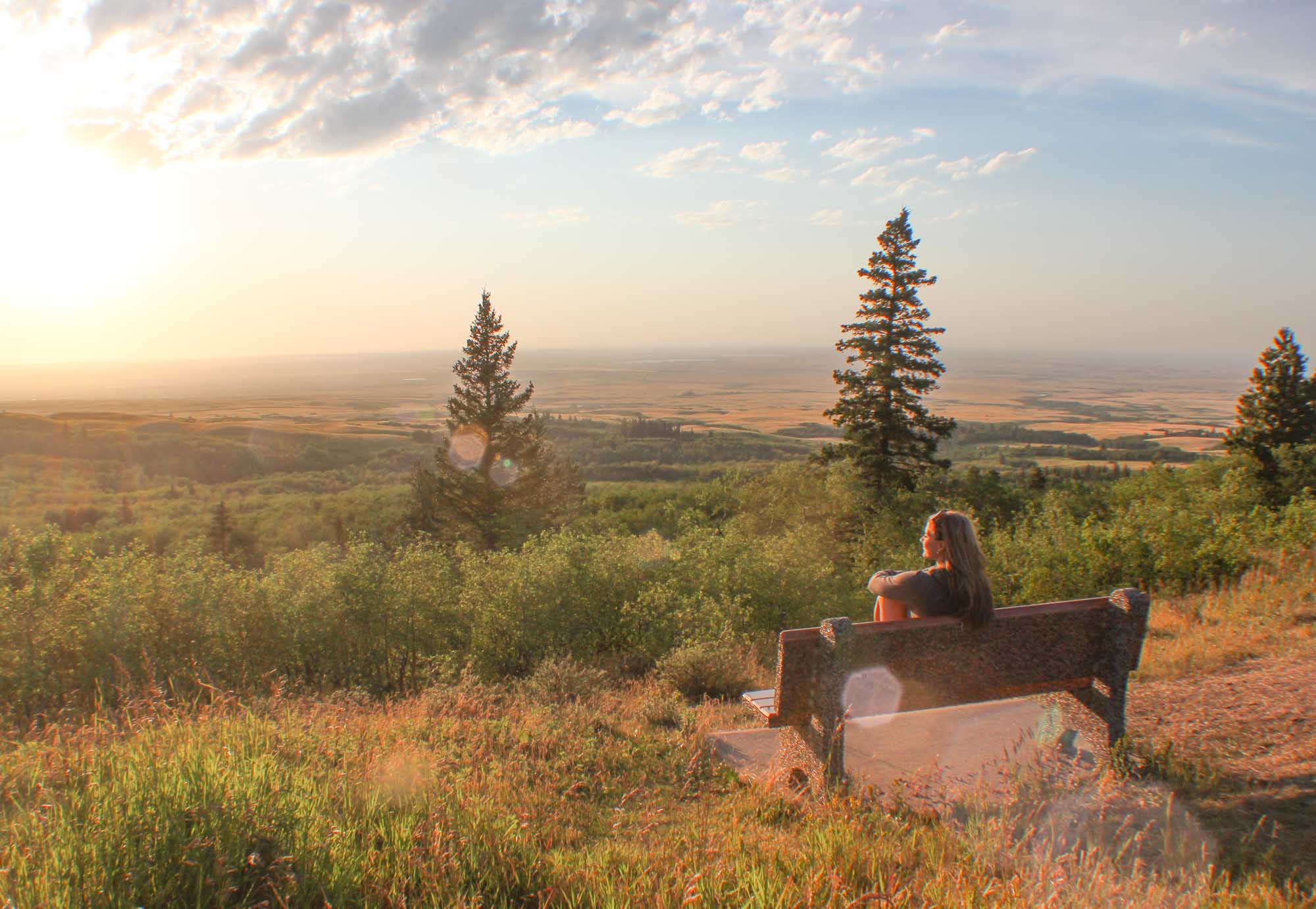 Wandering in Cypress Hills Interprovincial Park A Saskatchewan
