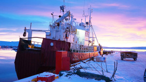 Just another reason why you should visit Iceland - in wintertime!