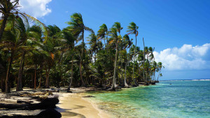 Pristine beaches on Isla Perro