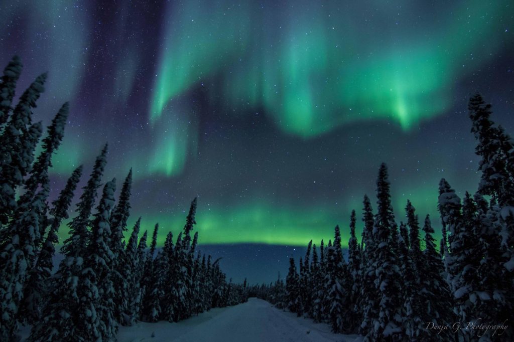 Dunja G Photography, near McClean Lake, SK, February 12, 2016