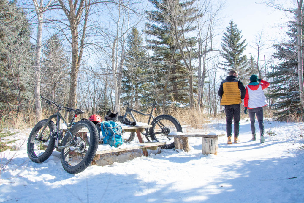 Saskatchewan Winter