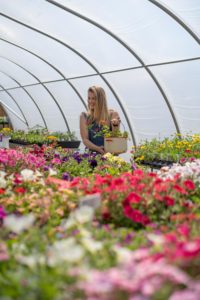 Frontiers Flower Patch