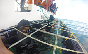 Gansbaai Shark Cage Diving