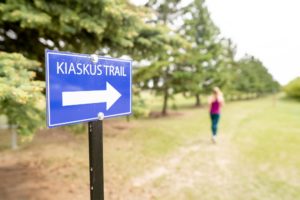 Gull Lake Kiaskus Trail