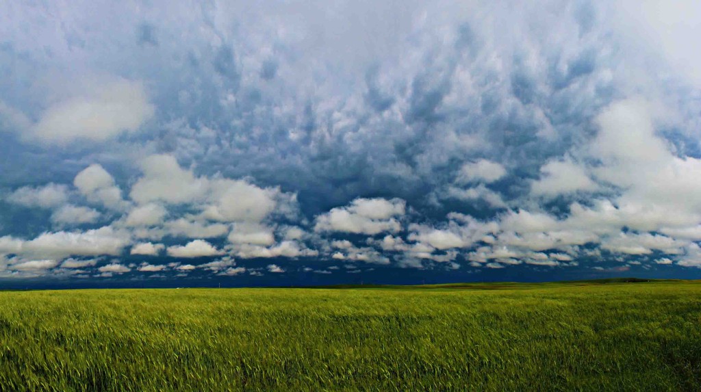 Stormy Saskatchewan Fields, Canada