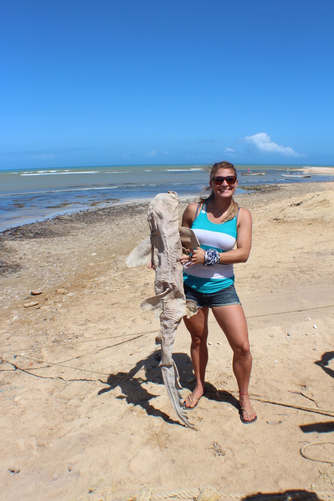 A self-professed biology nerd, I couldn't pass up an opportunity to examine and grab a photo with a dried-up shark carcass.