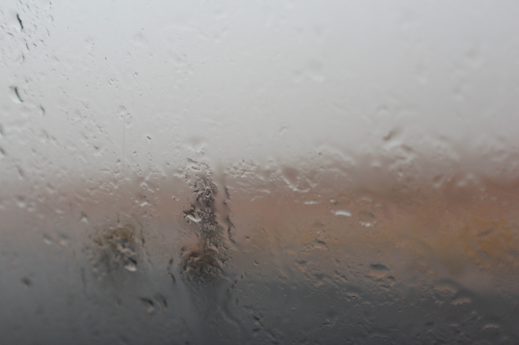 We stopped in what seemed to be the middle of nowhere to let off a passenger and her young son. It was raining so hard, this is the view I had of them through the taxi-brousse window.