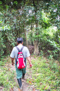Our guide leading us through the jungle on our first trek.