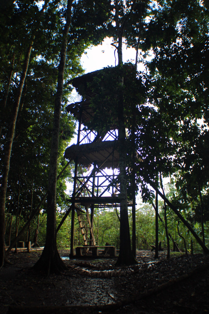 The huge three story tower in the middle of the jungle with an amazing view above the canopy.