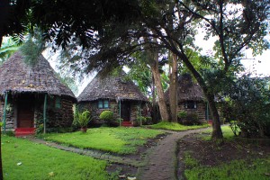  Our accommodation before and after our safari was more luxurious than I expected, but worth the extra few dollars we paid for it.