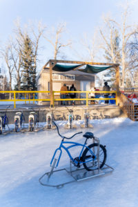Things to Do in Calgary in the Winter