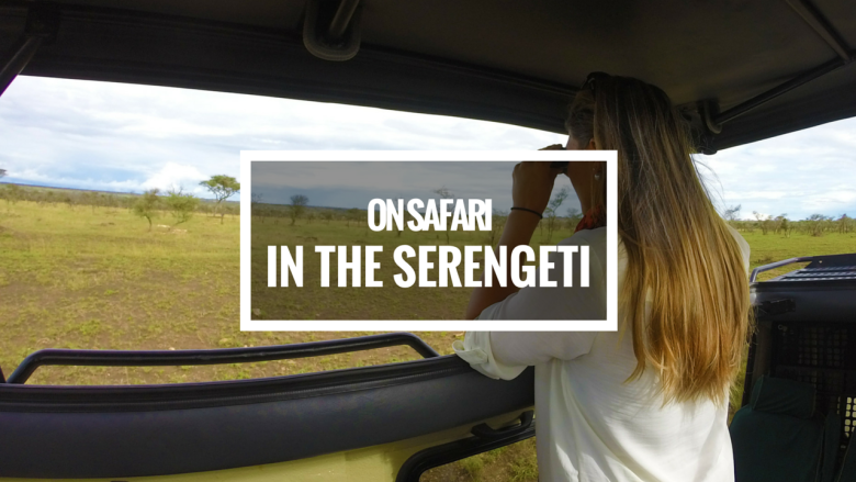 Safari in the Serengeti