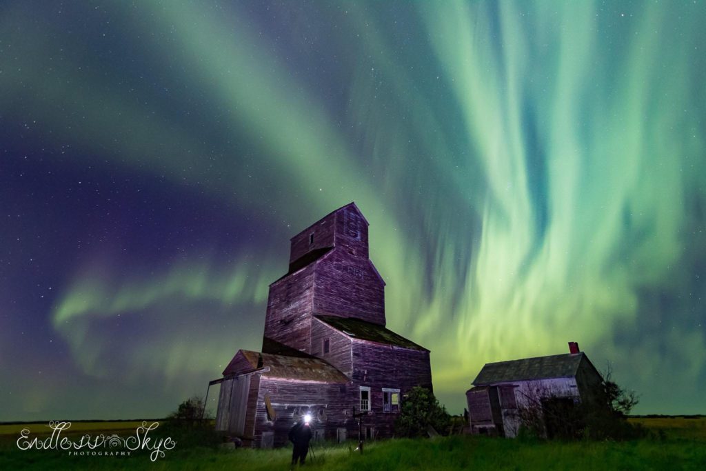 Bands of green northern lights flaring out behind an old grain elevator lit up by another photographer in the photo.