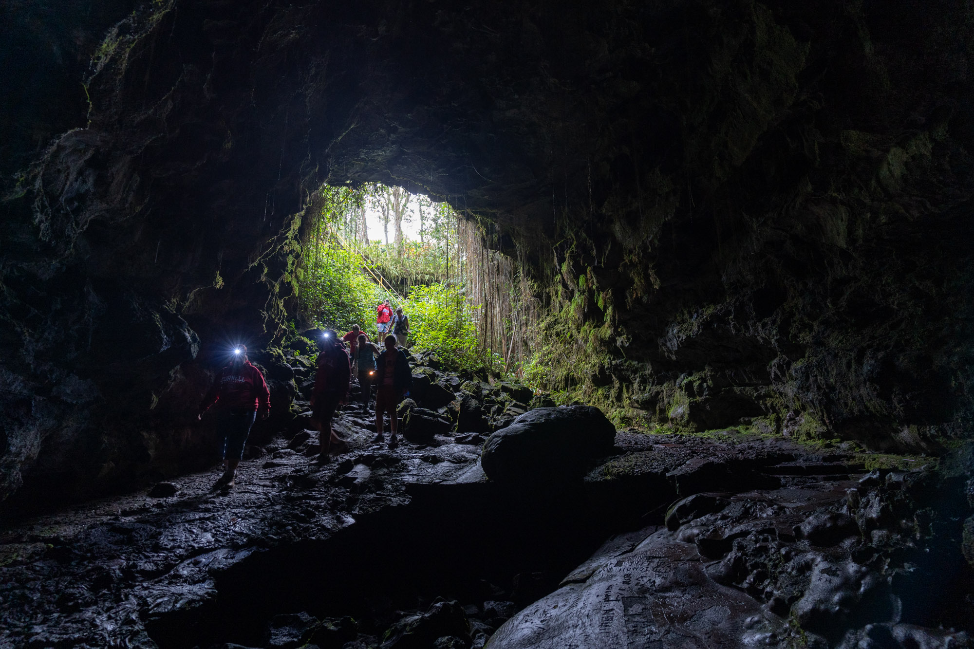 Things To Do In Hilo Hawaii With Kids - Chasing Abandon