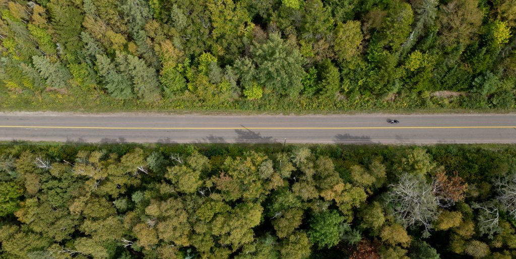 Aerial top-down view of a highway with a motorcyclist on it. The land on either side of the highway is dense forest.