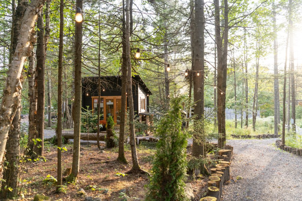 A path leading to a small wooden structure in the forest with twinkle lights strung along the pathway.