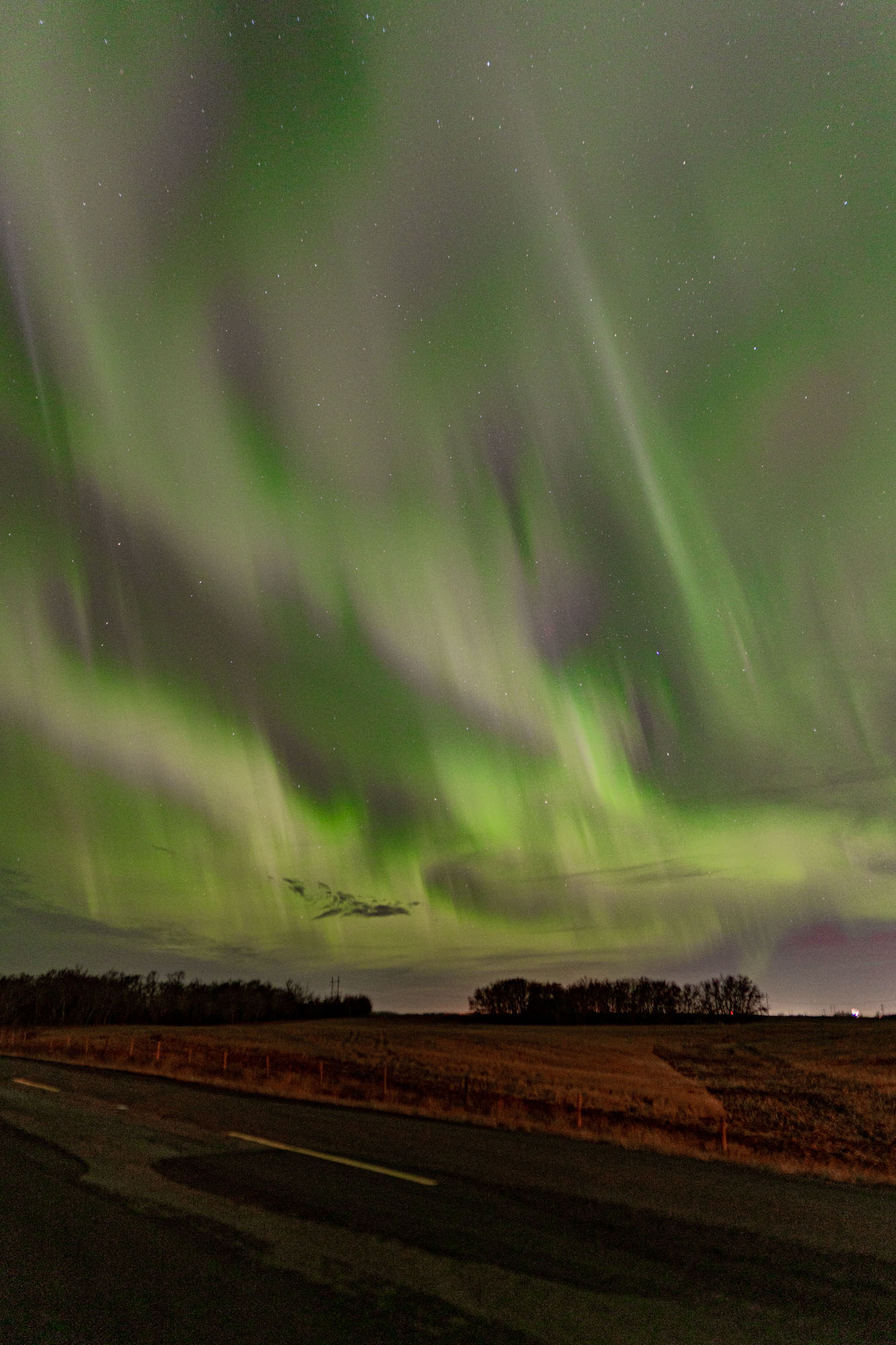 northern lights in saskatchewan