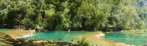 Semuc Champey