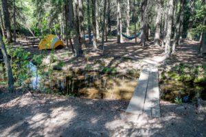 Camping at Pine Cree Regional Park
