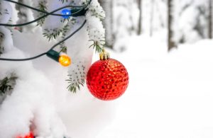 Saskatchewan Holiday Gift Guide