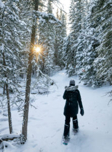 Saskatchewan Winter