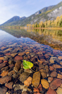 Things to do in Cranbrook, BC