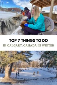 Things to Do in Calgary in the Winter