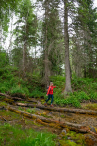 Wildcat Hill Provincial Park
