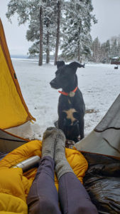 Winter Activities in Saskatchewan
