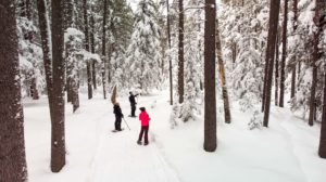 Snowshoeing in Cypress Hills Interprovincial Park