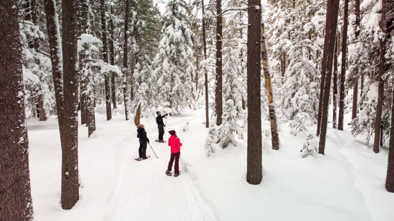 Snowshoeing in Cypress Hills Interprovincial Park