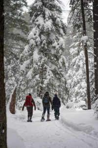 Snowshoeing in Cypress Hills