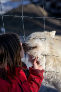 Things to Do in Calgary in the Winter