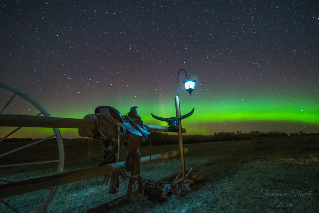 Credit: Leila Thompson Flavell, taken on the Flavell family farm near Bulyea, SK