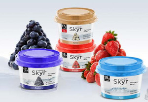 skyr-large